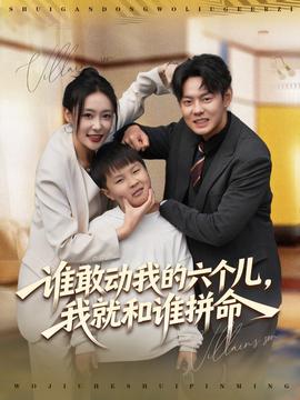 谁敢动我的六个儿，我就和谁拼命(全集)